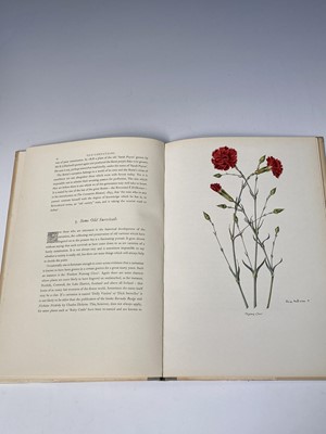 Lot 310 - C. OSCAR MORETON. 'Old Carnations and Pinks.'...