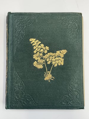 Lot 14 - THOMAS MOORE. 'A Popular History of the...