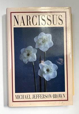 Lot 46 - MICHAEL JEFFERSON-BROWN. 'Narcissus.' 1991. vg...