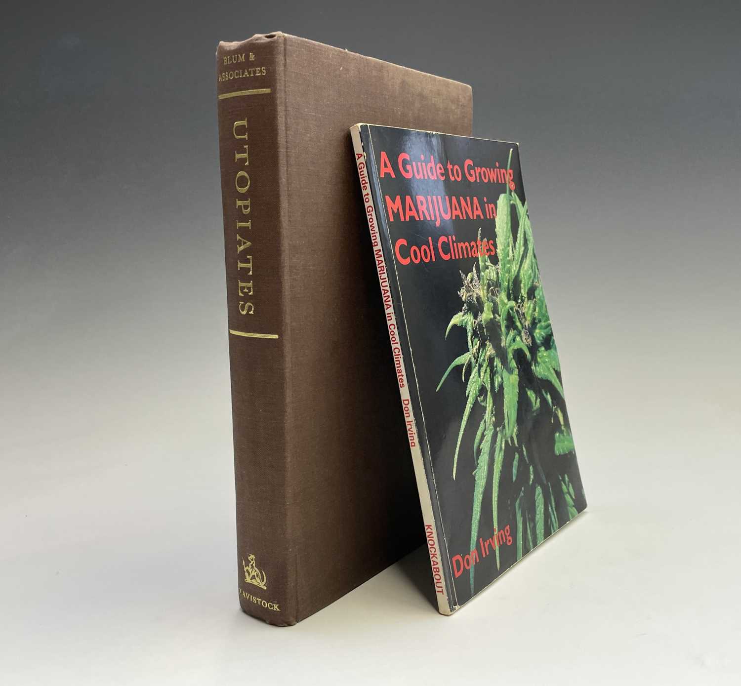 Lot 60 - DON IRVING. 'A Guide to Growing Marijuana in...