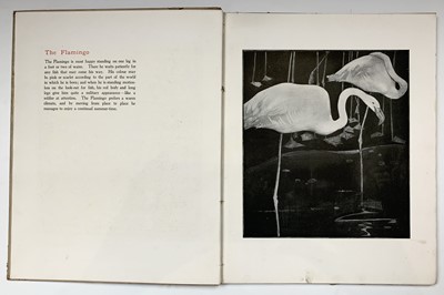 Lot 366 - JOHN HASSALL ILLUSTRATIONS