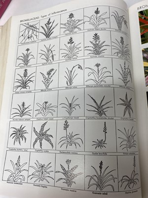 Lot 511 - Botany. 'Exotica: Pictorial Cyclopedia of...