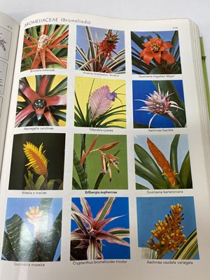 Lot 511 - Botany. 'Exotica: Pictorial Cyclopedia of...