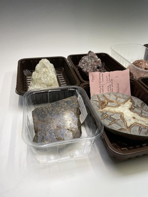 Lot 376 - An interesting collection of eight identified...