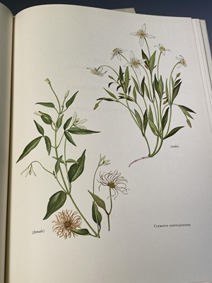 Lot 520 - WINIFRED CURTIS. 'The Endemic Flora of...