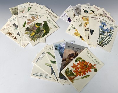 Lot 521 - Twenty-eight 'Natural History' catalogues from...