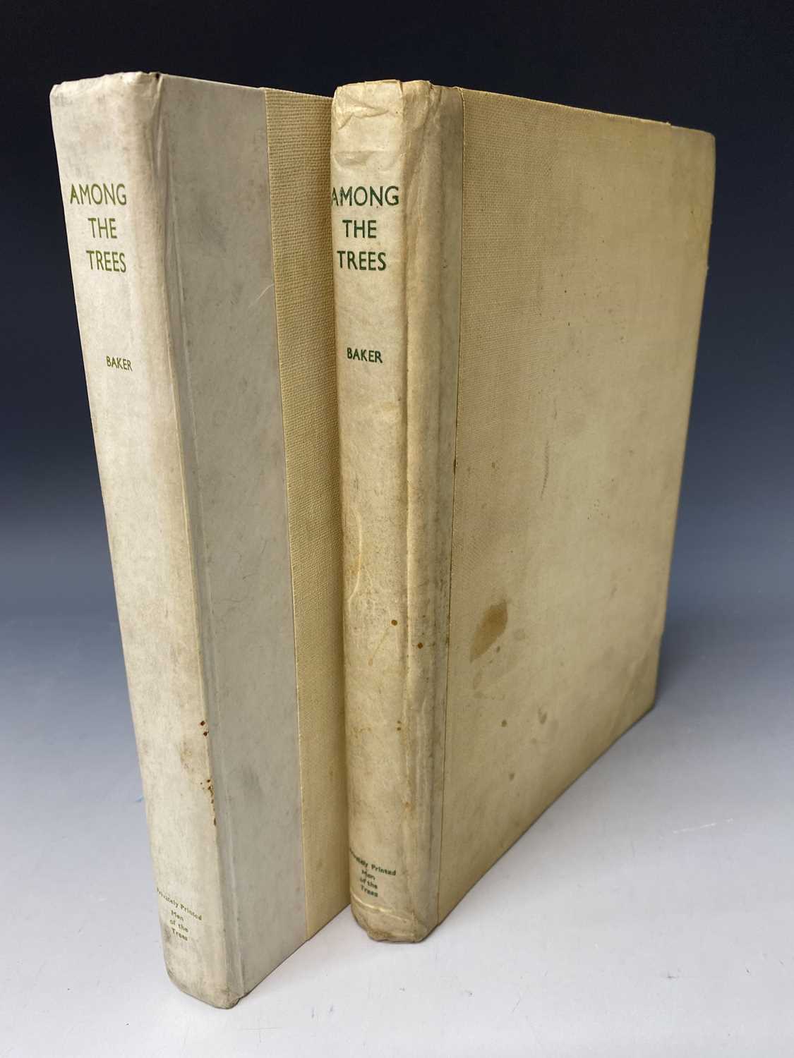 Lot 563 - RICHARD ST BARBE BAKER. 'Among The Trees.'...
