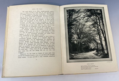 Lot 563 - RICHARD ST BARBE BAKER. 'Among The Trees.'...