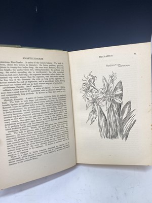 Lot 565 - C. H. GREY. 'Hardy Bulbs.' Three vols, first...