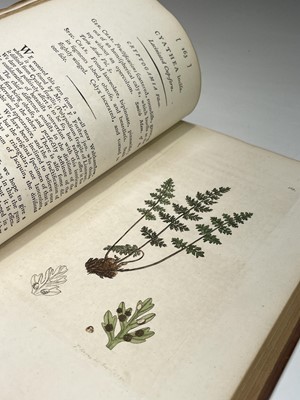 Lot 398 - JAMES SOWERBY. 'English Botany; or, Coloured...