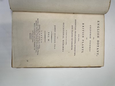 Lot 398 - JAMES SOWERBY. 'English Botany; or, Coloured...