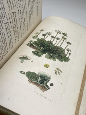 Lot 398 - JAMES SOWERBY. 'English Botany; or, Coloured...