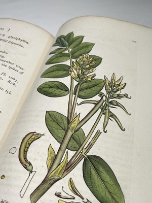 Lot 398 - JAMES SOWERBY. 'English Botany; or, Coloured...