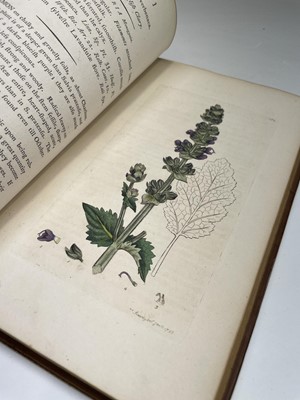 Lot 398 - JAMES SOWERBY. 'English Botany; or, Coloured...