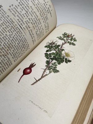 Lot 398 - JAMES SOWERBY. 'English Botany; or, Coloured...