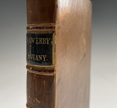 Lot 398 - JAMES SOWERBY. 'English Botany; or, Coloured...