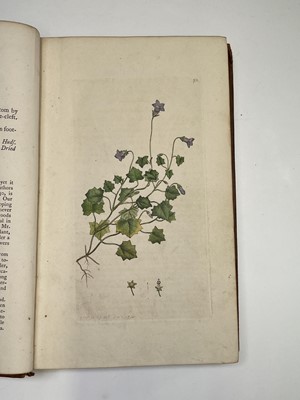 Lot 398 - JAMES SOWERBY. 'English Botany; or, Coloured...