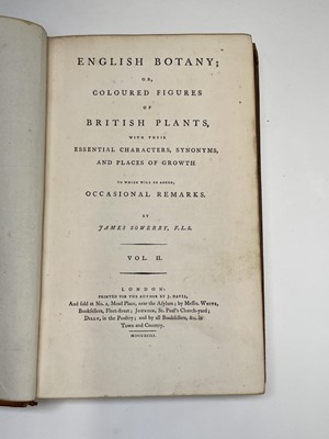 Lot 398 - JAMES SOWERBY. 'English Botany; or, Coloured...