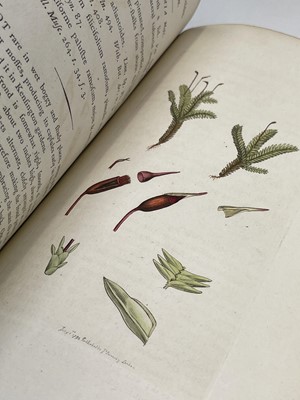 Lot 398 - JAMES SOWERBY. 'English Botany; or, Coloured...