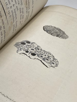 Lot 398 - JAMES SOWERBY. 'English Botany; or, Coloured...