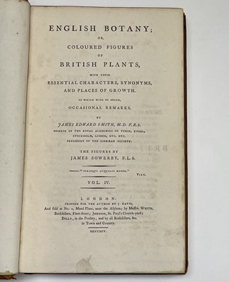 Lot 398 - JAMES SOWERBY. 'English Botany; or, Coloured...