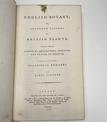 Lot 398 - JAMES SOWERBY. 'English Botany; or, Coloured...