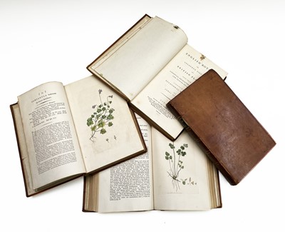 Lot 398 - JAMES SOWERBY. 'English Botany; or, Coloured...