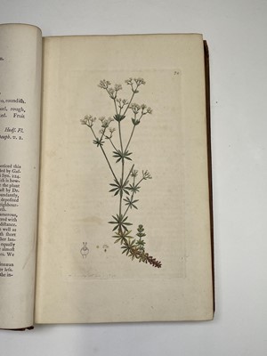 Lot 398 - JAMES SOWERBY. 'English Botany; or, Coloured...