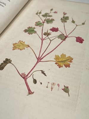 Lot 398 - JAMES SOWERBY. 'English Botany; or, Coloured...