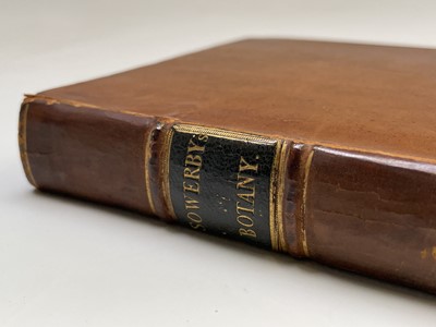 Lot 398 - JAMES SOWERBY. 'English Botany; or, Coloured...