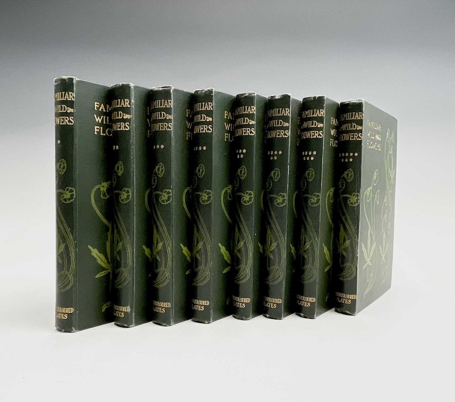 Lot 623 - F. EDWARD HULME. 'Familiar Wild Flowers.'...