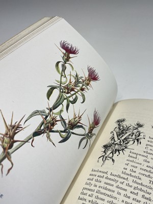 Lot 623 - F. EDWARD HULME. 'Familiar Wild Flowers.'...
