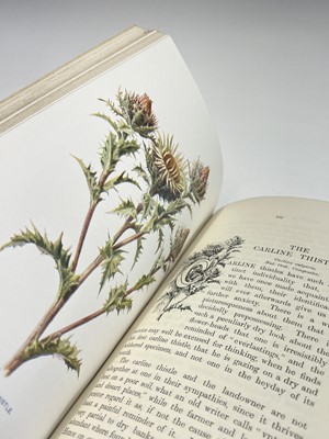 Lot 623 - F. EDWARD HULME. 'Familiar Wild Flowers.'...