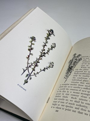 Lot 623 - F. EDWARD HULME. 'Familiar Wild Flowers.'...