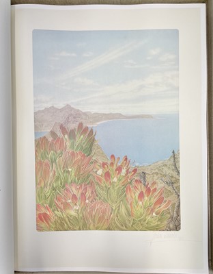 Lot 373 - JOHN PATRICK ROURKE. 'Mimetes: An Illustrated...