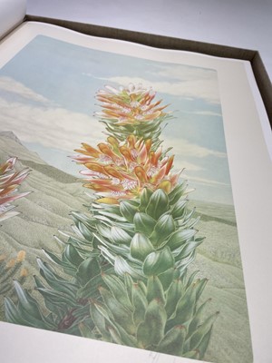 Lot 373 - JOHN PATRICK ROURKE. 'Mimetes: An Illustrated...