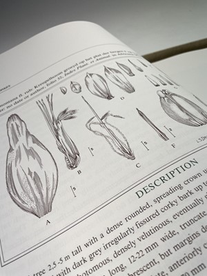 Lot 373 - JOHN PATRICK ROURKE. 'Mimetes: An Illustrated...