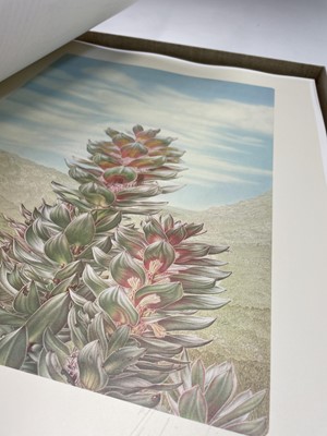 Lot 373 - JOHN PATRICK ROURKE. 'Mimetes: An Illustrated...