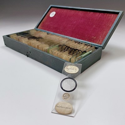 Lot 87 - A case of 36 Victorian microscope slides,...