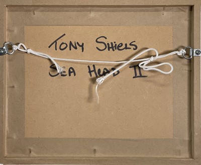 Lot 179 - Tony SHIELS (1938) Sea Head II Acrylic Signed...