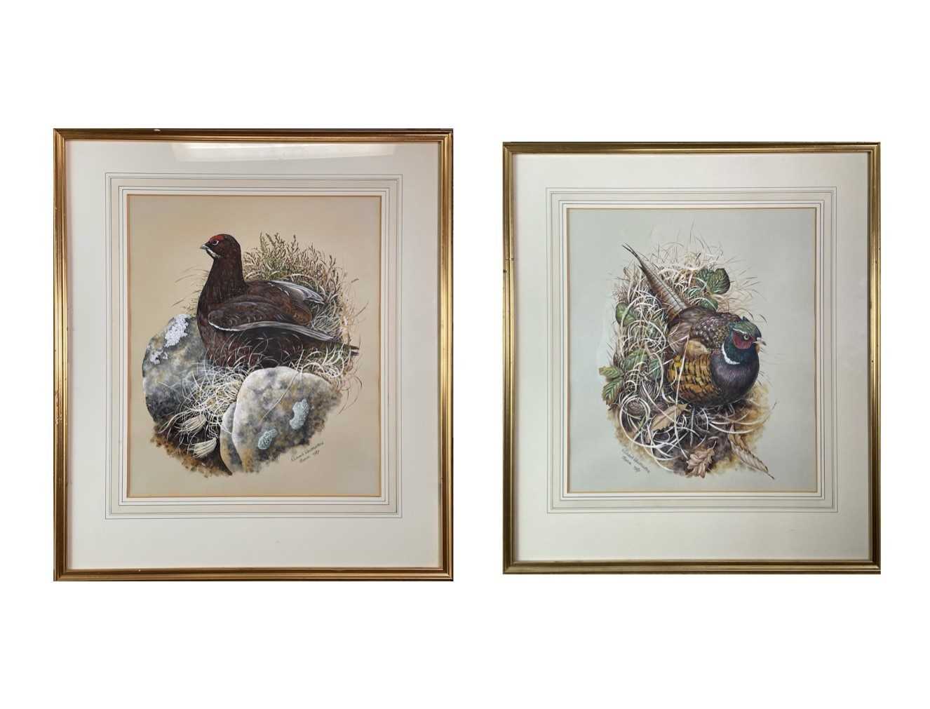 Lot 659 - Richard WHITTLESTONE (1963) A Pheasant and a...