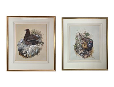 Lot 659 - Richard WHITTLESTONE (1963) A Pheasant and a...