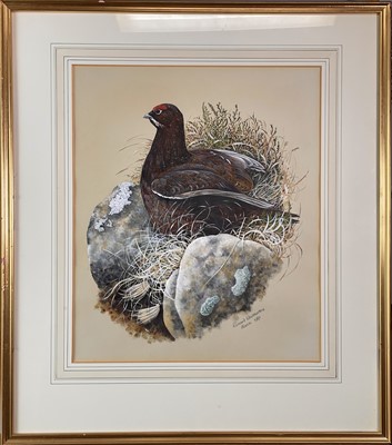 Lot 659 - Richard WHITTLESTONE (1963) A Pheasant and a...