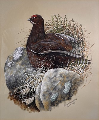 Lot 659 - Richard WHITTLESTONE (1963) A Pheasant and a...