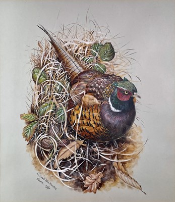 Lot 659 - Richard WHITTLESTONE (1963) A Pheasant and a...