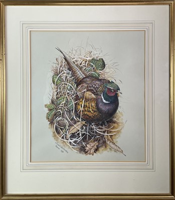 Lot 659 - Richard WHITTLESTONE (1963) A Pheasant and a...