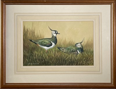 Lot 342 - David PARRY (1942) Lap Wings Gouache Signed...