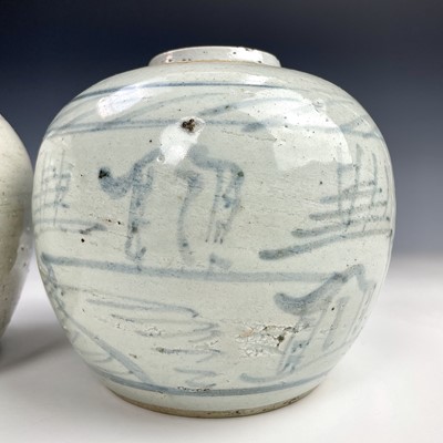 Lot 153 - Two Chinese blue and white ginger jars, 19th...
