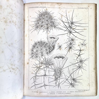 Lot 100 - BOTANICAL and AMERICAN INTEREST. 'Report on...