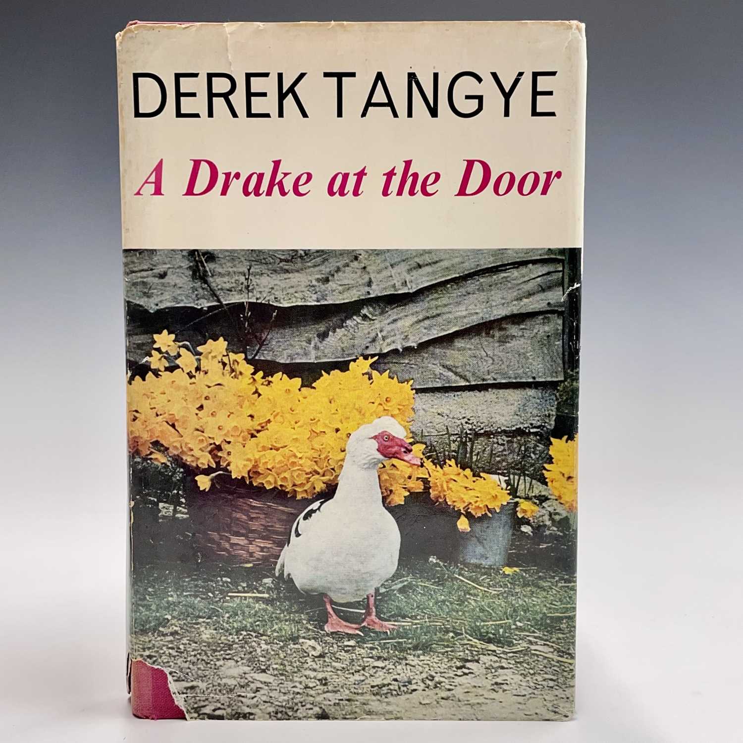 Lot 12 - DEREK TANGYE. 'A Drake at the Door,' signed,...